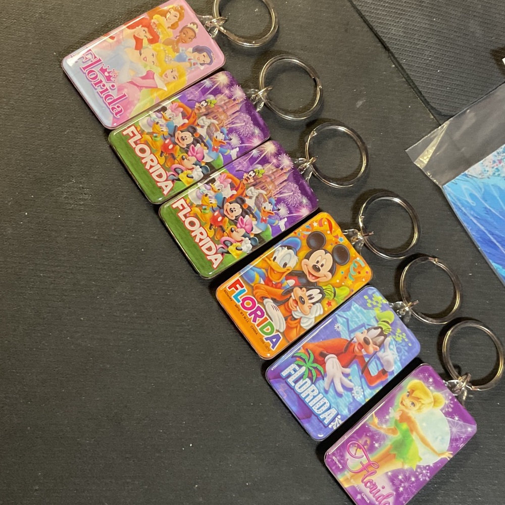 Disney Florida Keychain - Vibrant Colors